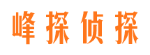 临洮外遇调查取证